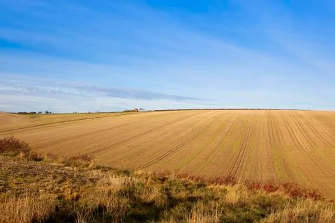 Hillside stubble fields in autumn Stock Photos
