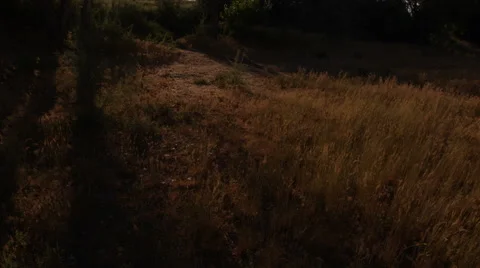 Hillside Sunrise Video stock 66396536