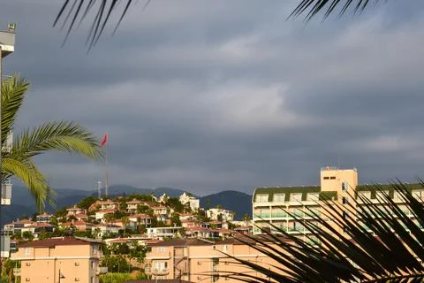 Hillside Town Under Dramatic Sky with Palm Tree Frame Stock Photos
