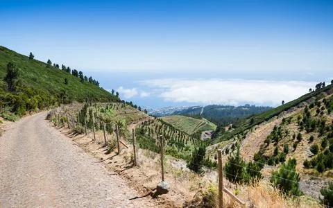 Hillside track to Ponta do Sol Stock Photos