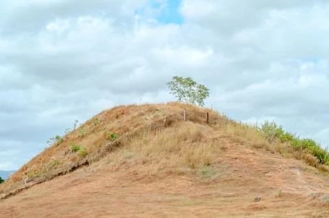 A hillside with a tree on it and a cloudy sky Stock Photos