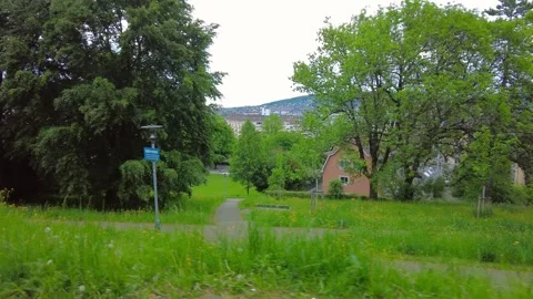Hillside view of a green park and city buildings in Zurich Stock Footage 334633427