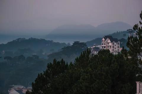 Hillside Villa Surrounded by Dense Pine Trees 스톡 사진