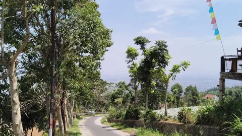 Hilltop landscape view with trees and sunny sky Stock Footage 346773278