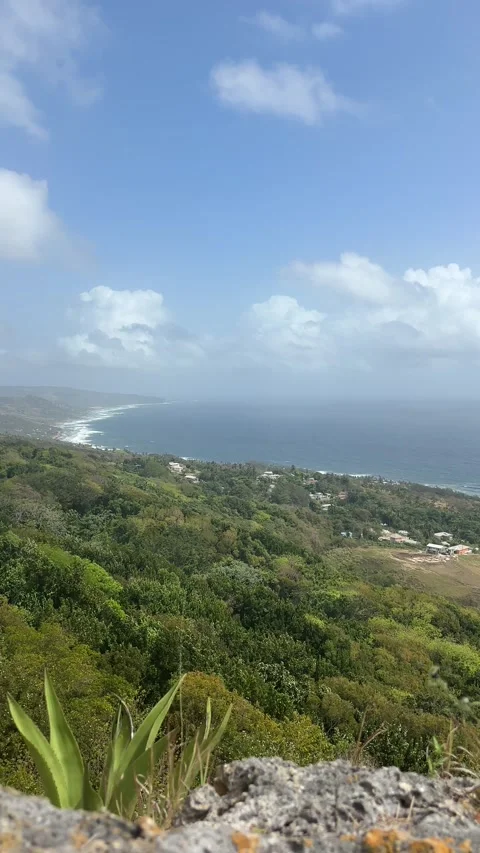 Hilltop Panoramic View of Barbados Tropical Coastline and Ocean Stock-Footage 337184045