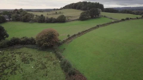 Hilltop in rolling fields in rural farming landscape, trees, drone flying Stock Footage 327244727