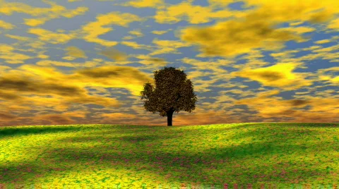 Hilltop Tree Go-round 스톡 동영상 627072