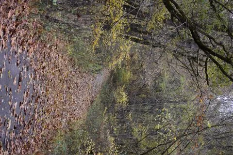 Hilltop view of path in the woods Foto stock