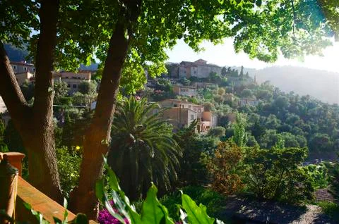 Hilltop view of rooftops and trees landscape Stock Photos
