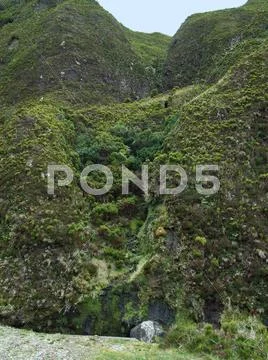 Hilly azores landscape Stock Photos