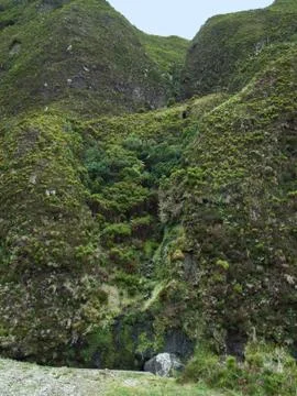 Hilly azores landscape Stock Photos