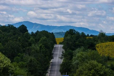 Hilly forest road and fields in Western Bulgaria Stock Photos