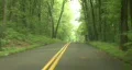 Hilly Forest Road HD Footage