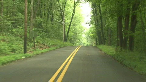 Hilly Forest Road Stock Footage 141585