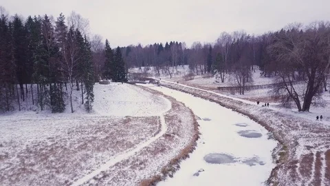 Hilly glade with a river in the middle of the forest Stock Footage 101221352