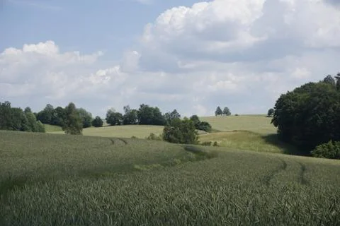 Hilly landscape with different types of grain and groves spotted near Ottendo Stock Photos