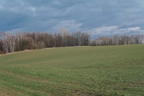 Hilly landscape with fields Stock Photos
