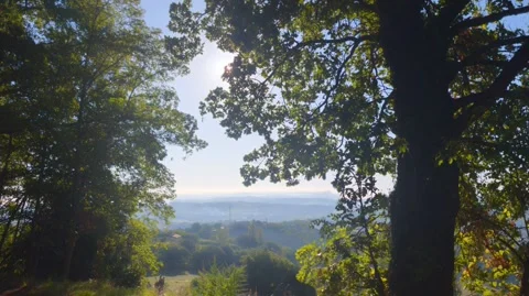 Hilly landscape framed by large trees and foliage 動画素材 346767810