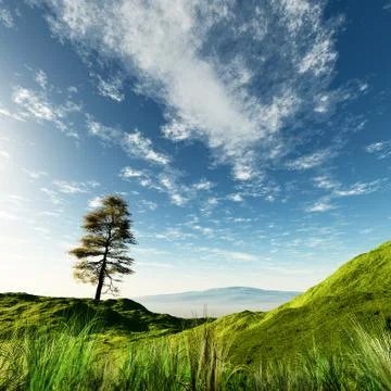 Hilly landscape Stock Photos