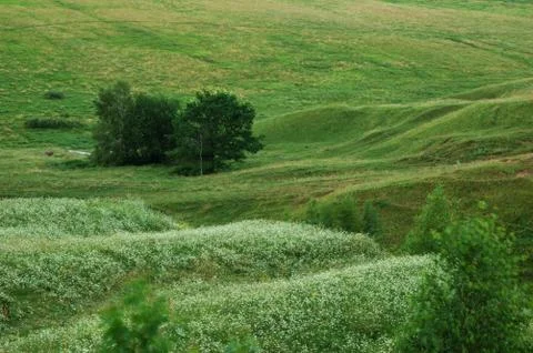 Hilly landscape Stock Photos