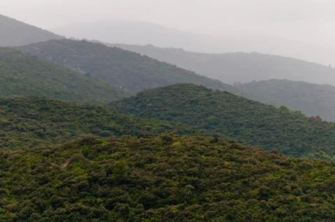 Hilly landscape Stock Photos