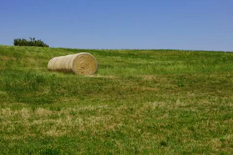 Hilly landscape Stock Photos