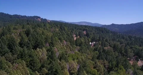 Hilly Lush Forest | Blue Sky | Drone Shot Stock Footage 133210357