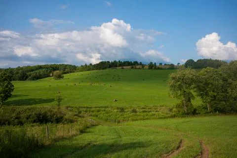 A hilly meadow with hay bales near Pine City, New York Stock Photos