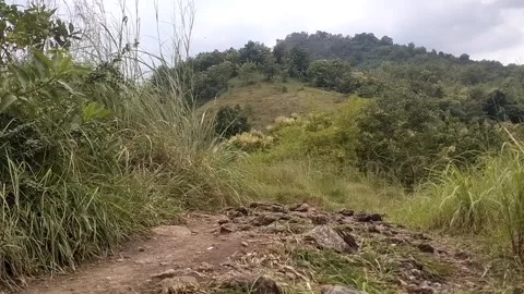 Hilly Nature Landscape Stock Footage 329417495