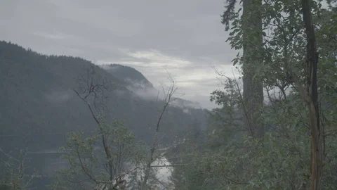 Hilly pine forest with lake and clouds Stock Footage 127121588