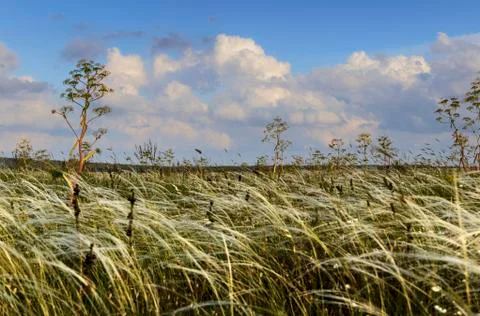 Hilly prairie dominated by clouds. Stock Photos
