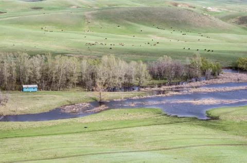 Hilly steppe in spring Stock Photos