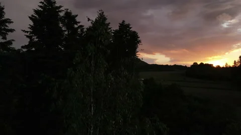 Hilly terrain covered with coniferous trees and meadow against sunset cloudy sky Stock Footage 155694735