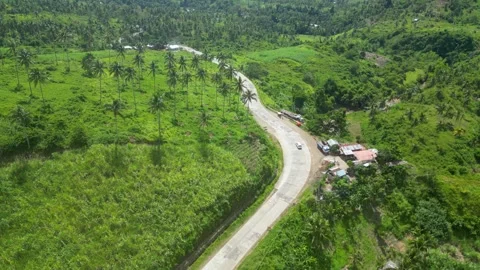 Hilly valley with lush tree and paved road for transport Stock Footage 247422687
