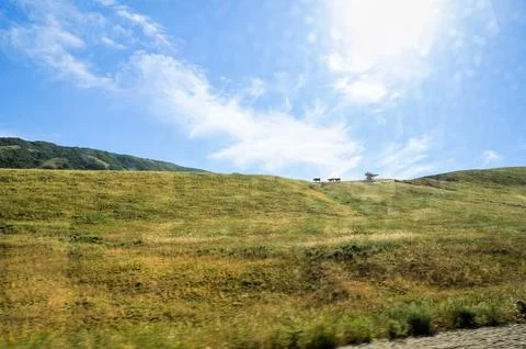 Hilly view with cows on the horizon. Photos