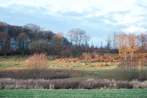 A hilly view Фото