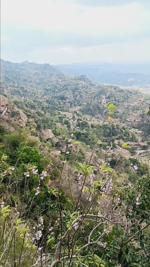 Hilly views Stock Footage 284409835