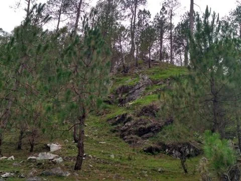 The hilly ways 写真素材