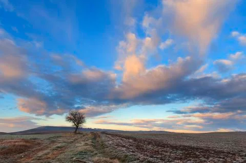 Hilly winter landscape. Stock Photos