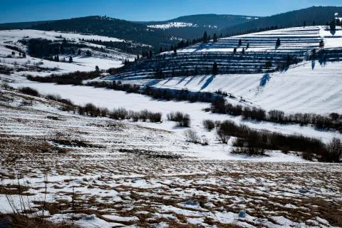 Hilly winter landscape Stock Photos