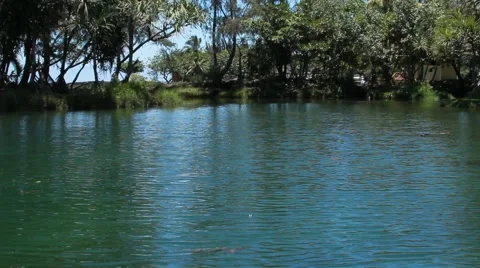 Hilo bay Video stock 44917537