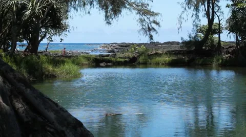 Hilo bay, Hawaii Stock-Footage 44917412