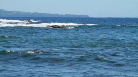 Hilo bay waves Video stock 44919524