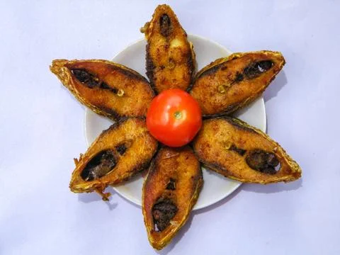 The hilsa fish Stock Photos