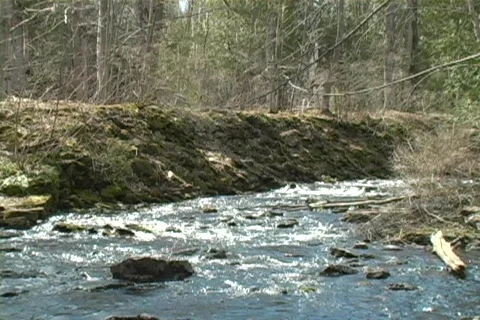 Hilton Falls and River Conservation Area Video stock 70367