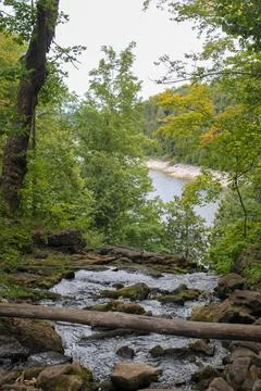 Hilton Falls Conservation Area stream flowing over rocky terrain with a wid.. Stock-Fotos