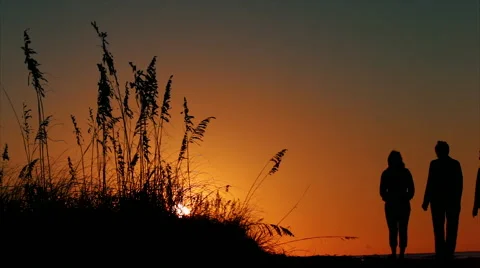 Hilton Head Beach Walker 2 Stock Footage 62891234