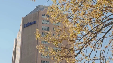 Hilton Hotel with Spring Tree in Foreground Stock Footage 73870033