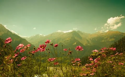 Himalaya Stock Photos