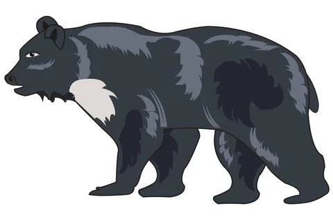 Himalayan bear black on white background is insulated Stock Illustration